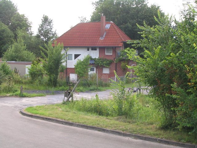 Hauenhorst Hf